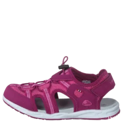 Thrill Fuchsia/Pink