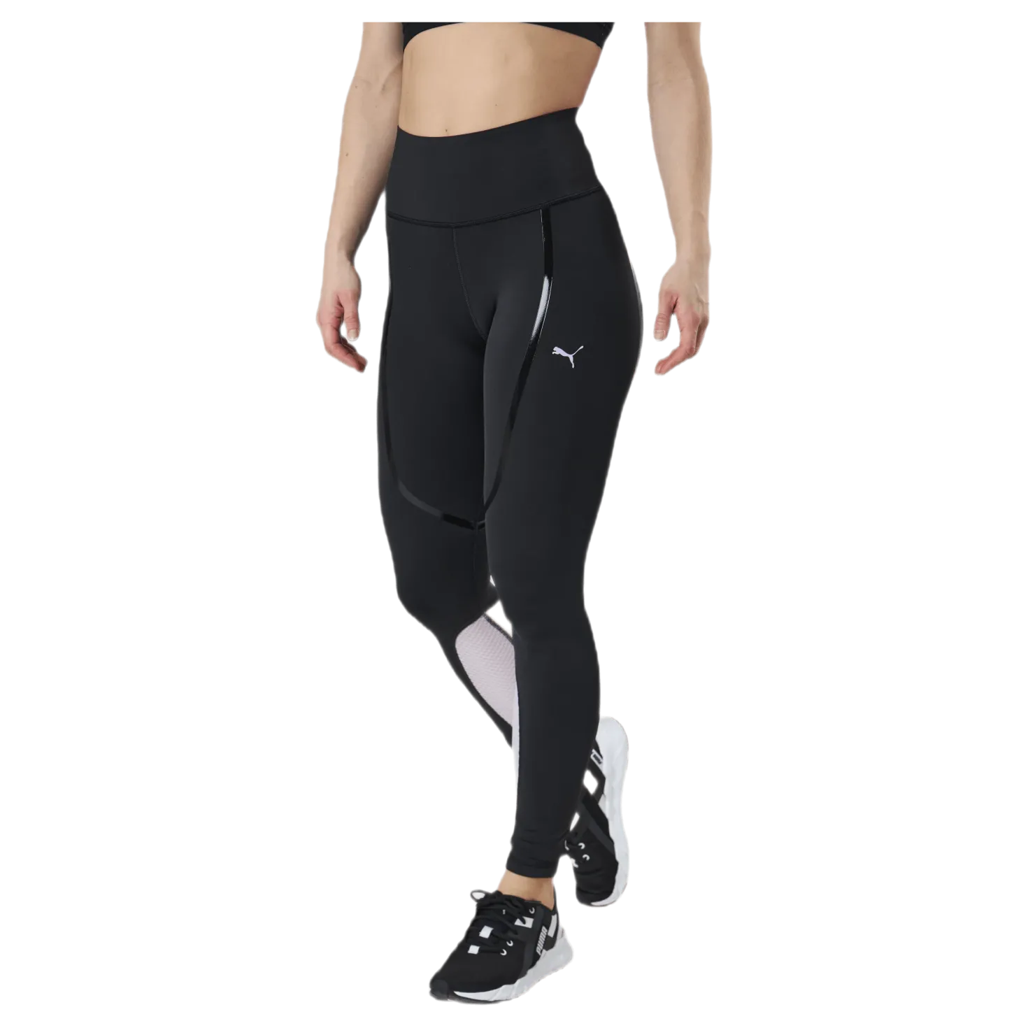 Train Bonded High Waist Full Tight Purple/Black