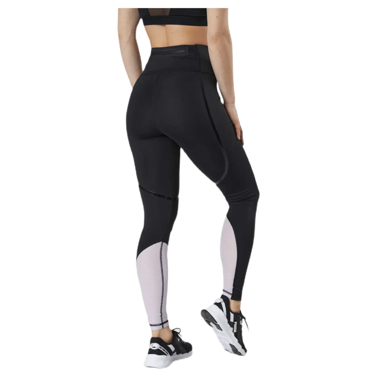 Train Bonded High Waist Full Tight Purple/Black