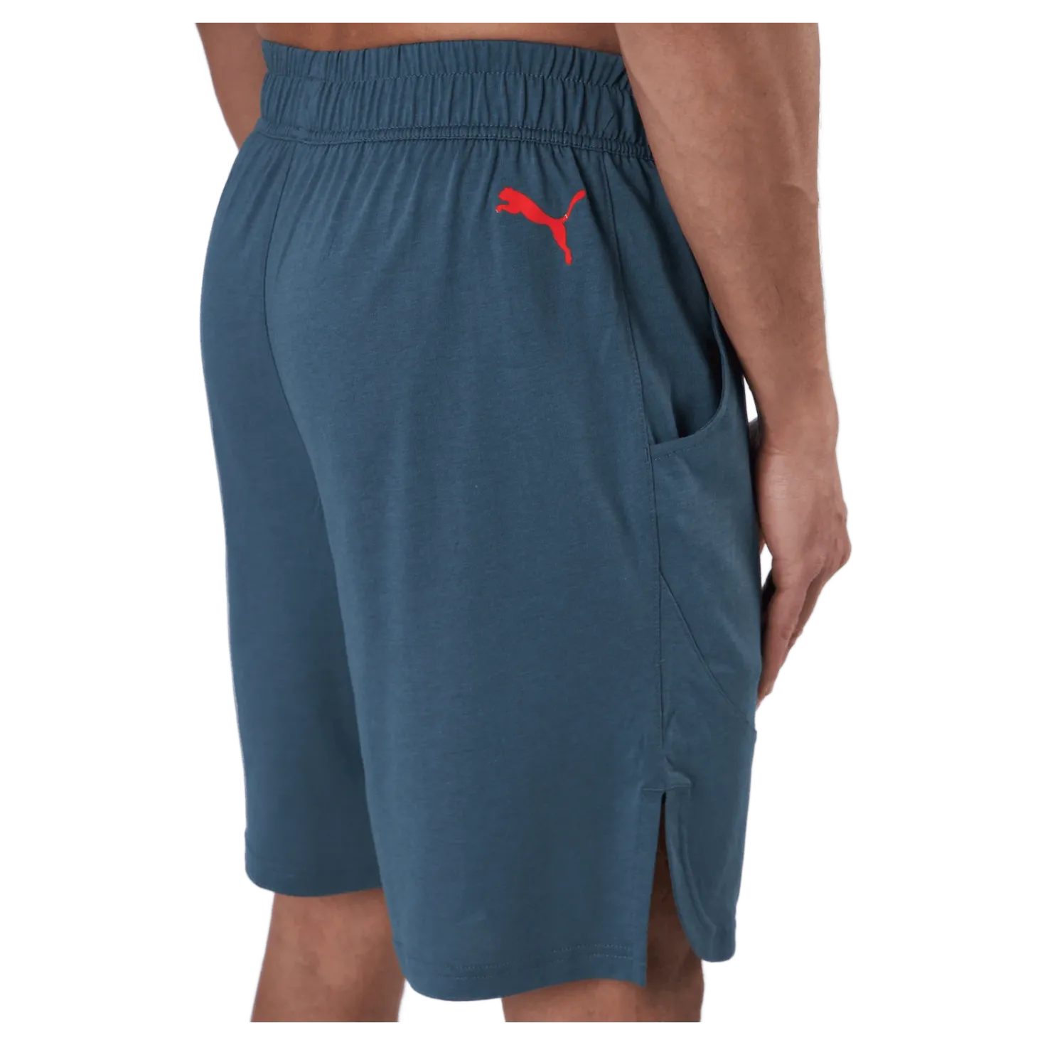 Train Logo 9" Short Dark Slate