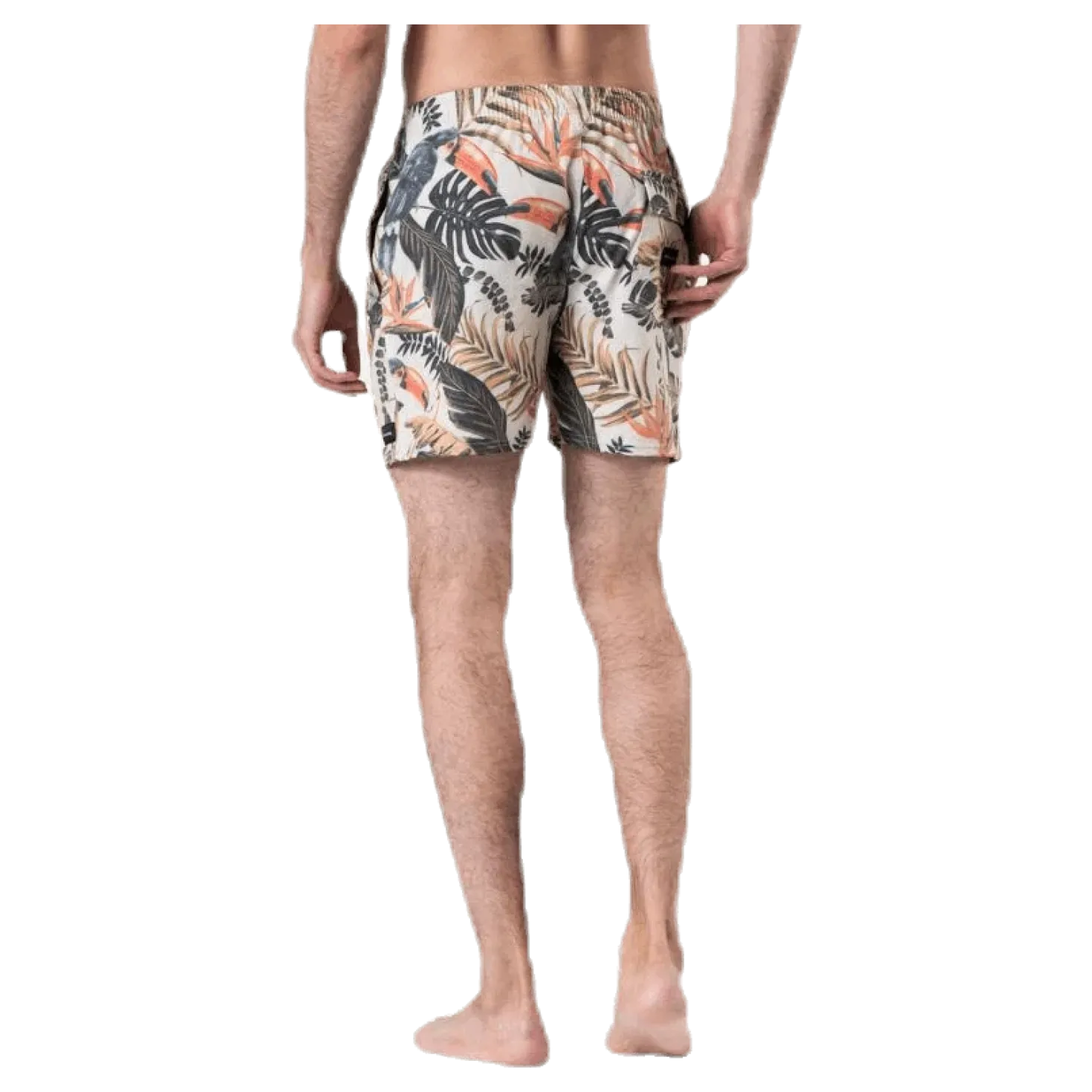 Tropical Vibes 16'' Volley Patterned