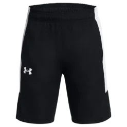 Ua Baseline Short Black