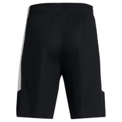 Ua Baseline Short Black
