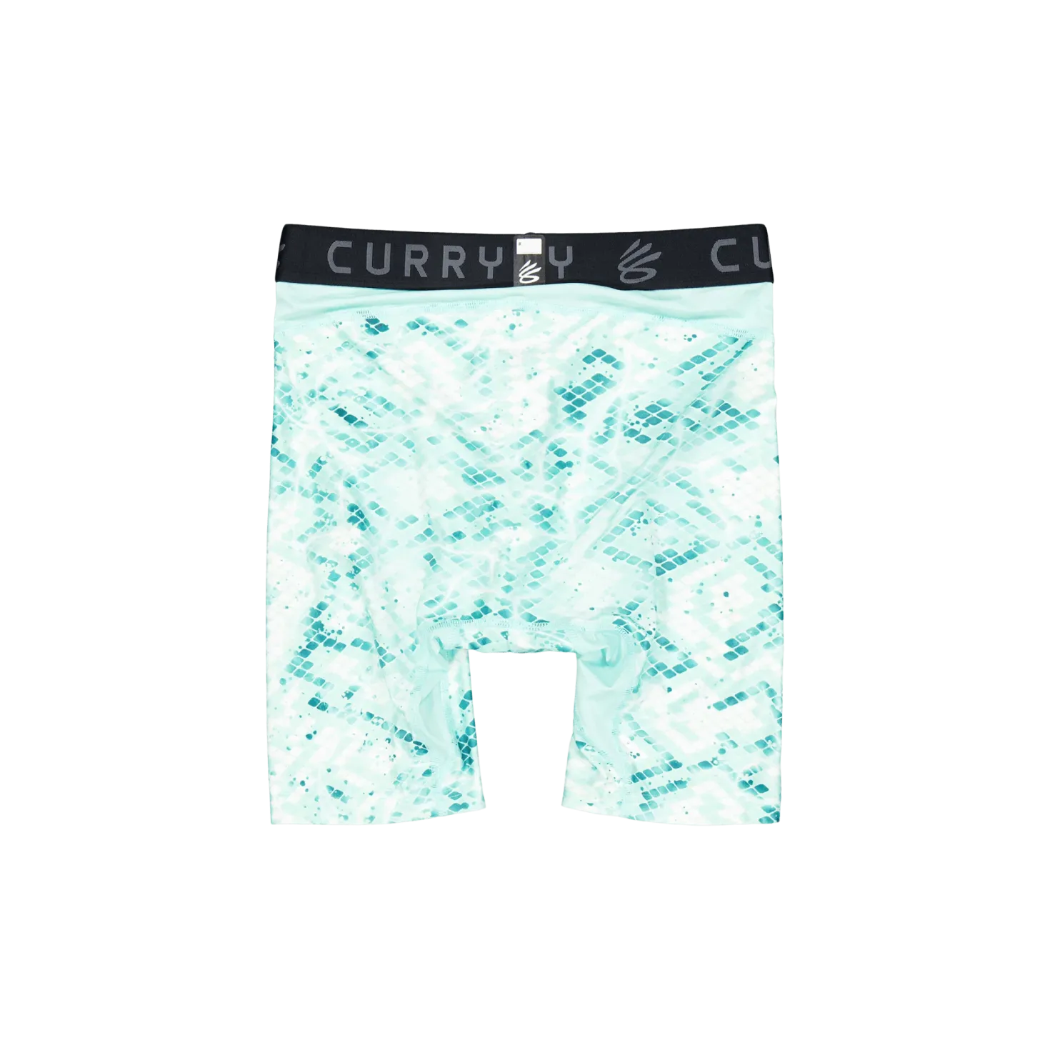 Ua Curry Hg Prtd Shorts Neo Turquoise