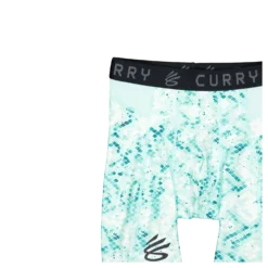 Ua Curry Hg Prtd Shorts Neo Turquoise
