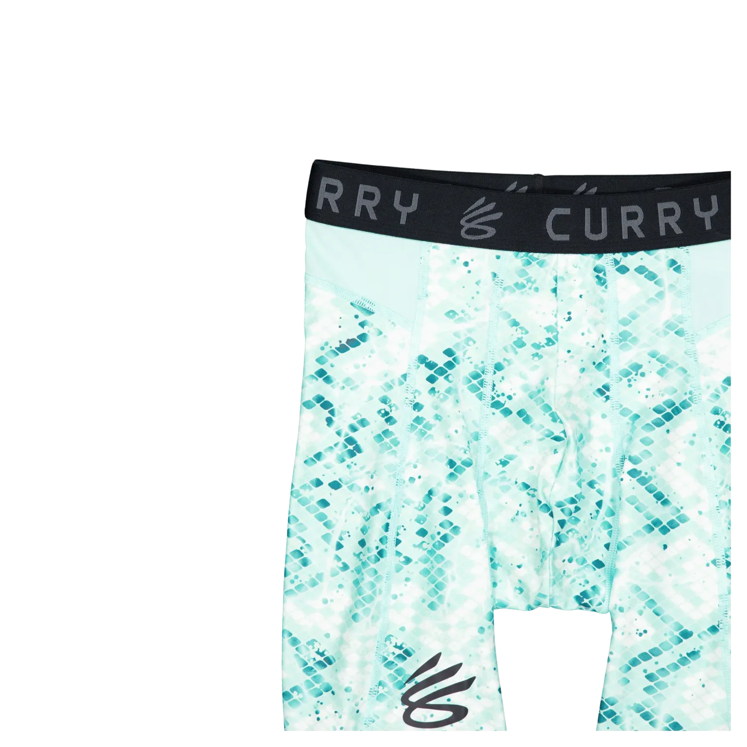 Ua Curry Hg Prtd Shorts Neo Turquoise