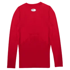 UA HG Armour Comp Ls