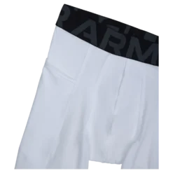 UA HG Armour Leggings