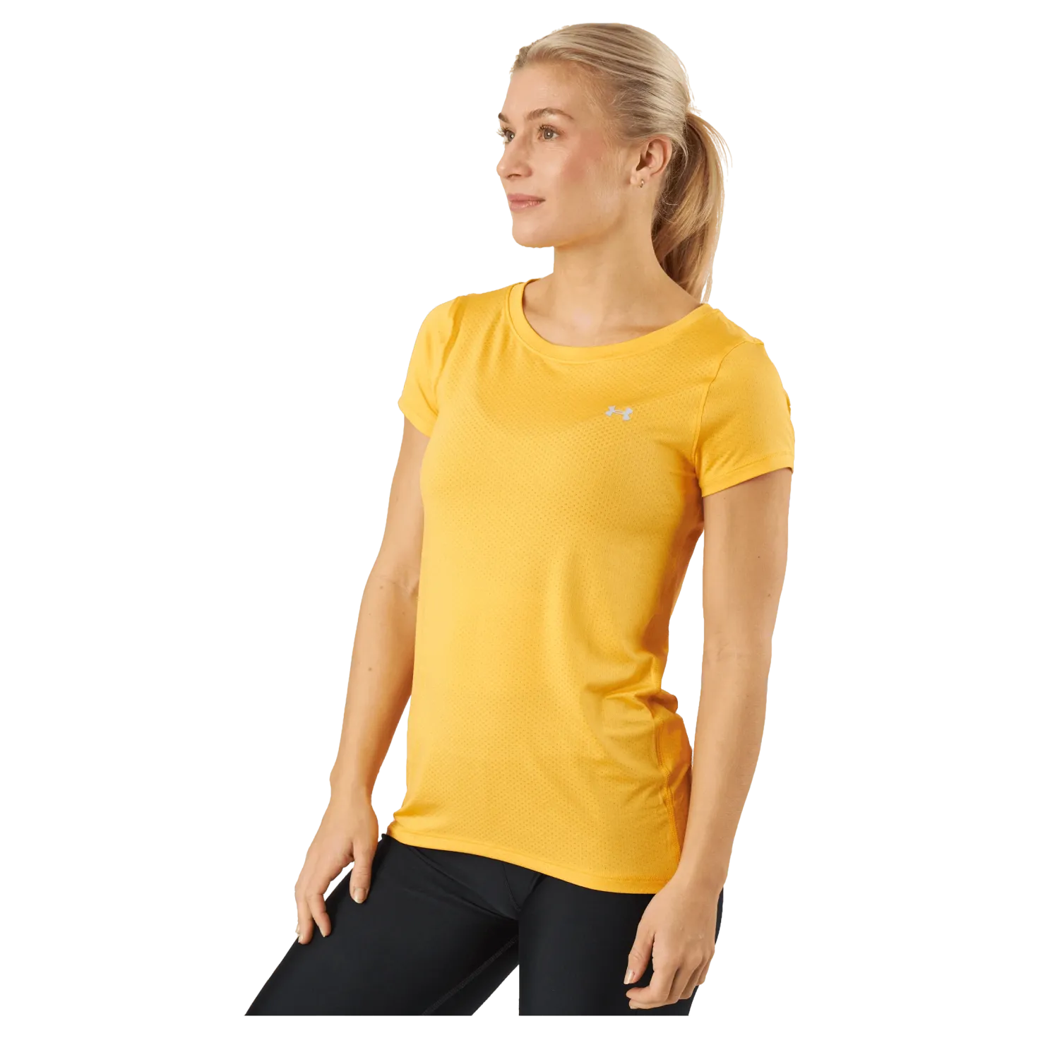 Ua Hg Armour Ss Rise