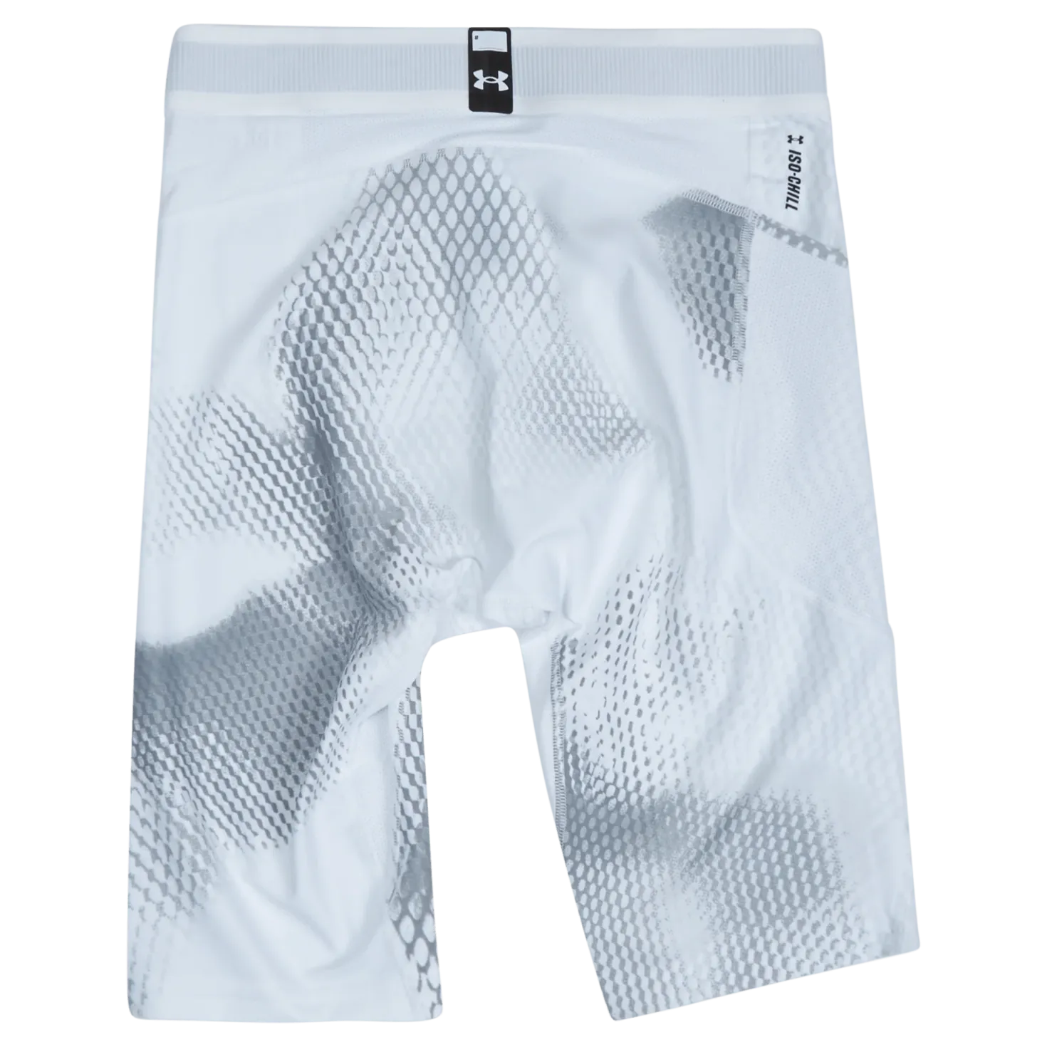 UA IsoChill Prtd Long Sts
