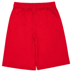 UA Perimeter 11'' Short