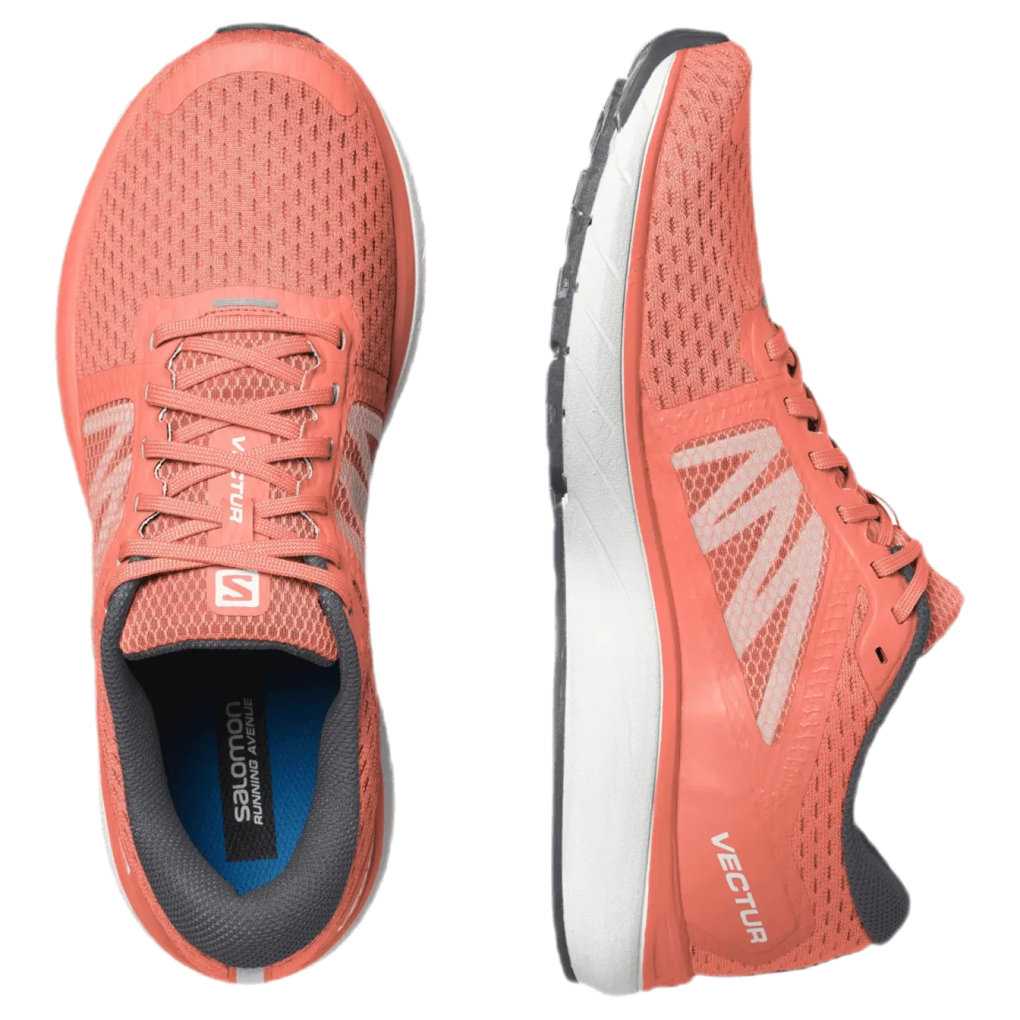 Vectur Red