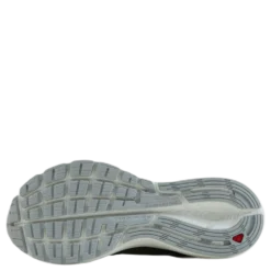 Vectur White