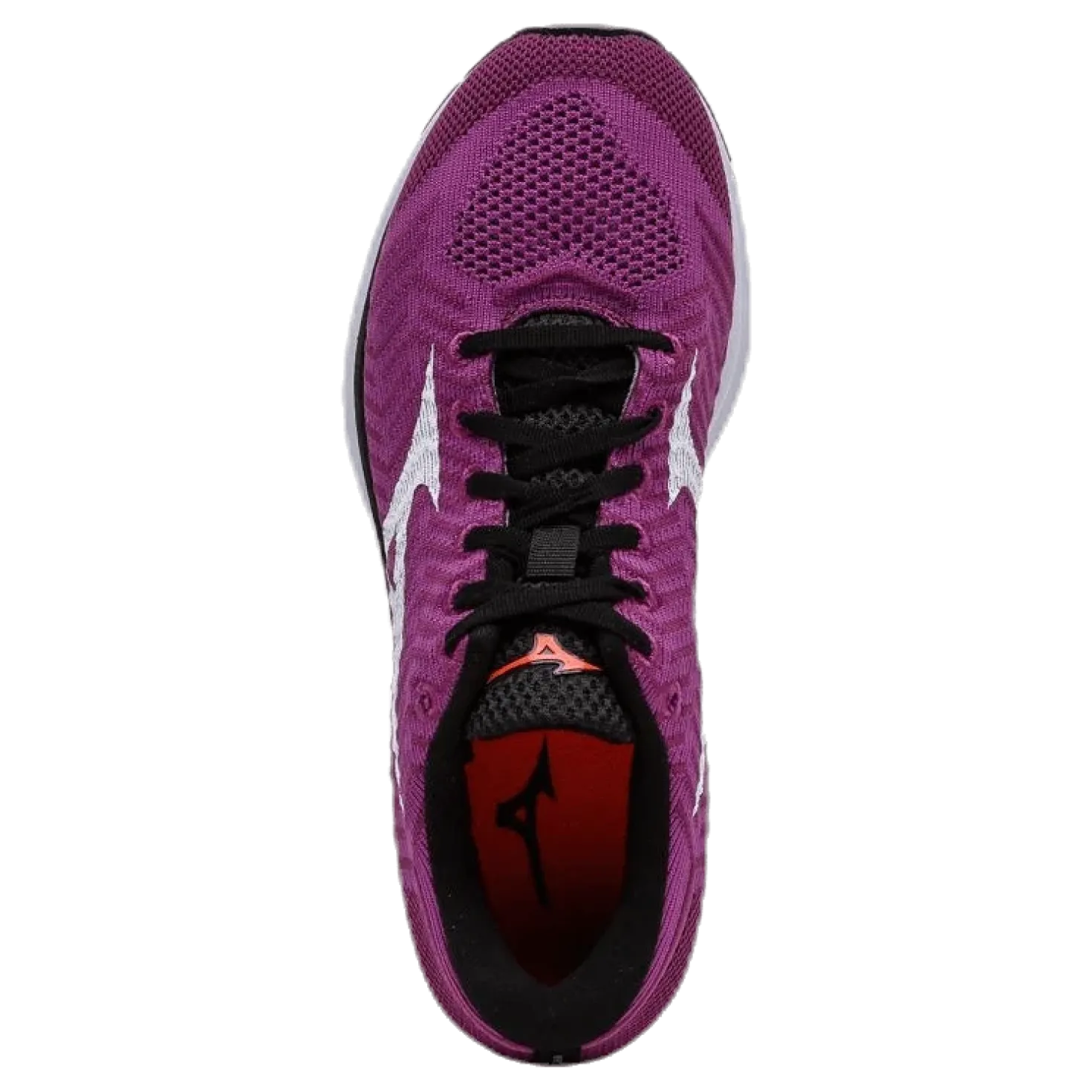 Wave Rider WK Purple