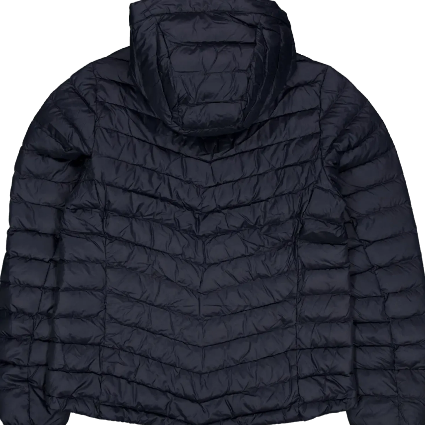 W Frost Down Hood Jacket Black