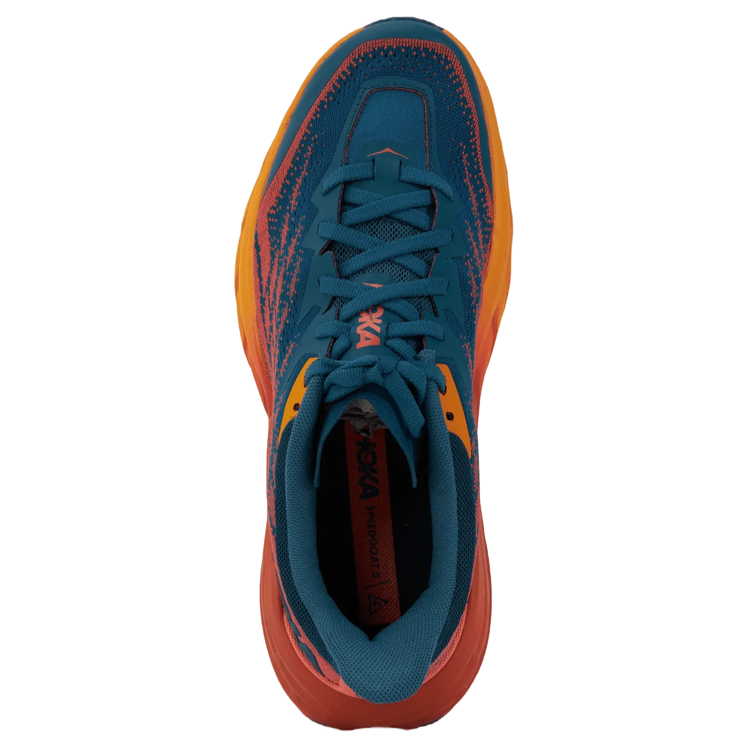 W Speedgoat 5 Blue Coral / Camellia