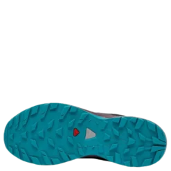 Xa Elevate GTX® Purple/Black