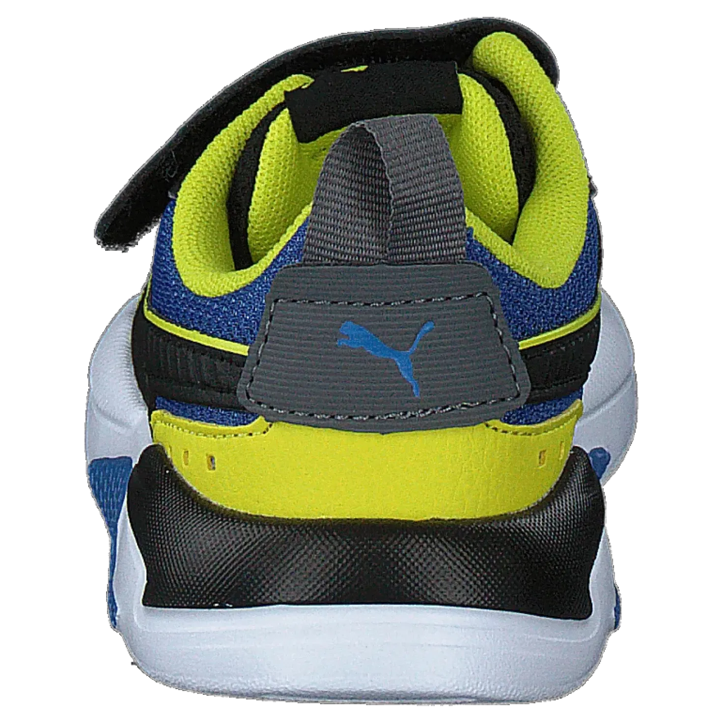 X-ray Ac Inf Black-sulphurspring-starsapphi