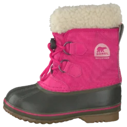 Yoot Pac Nylon 693, Ultra Pink, Alpine Tundra