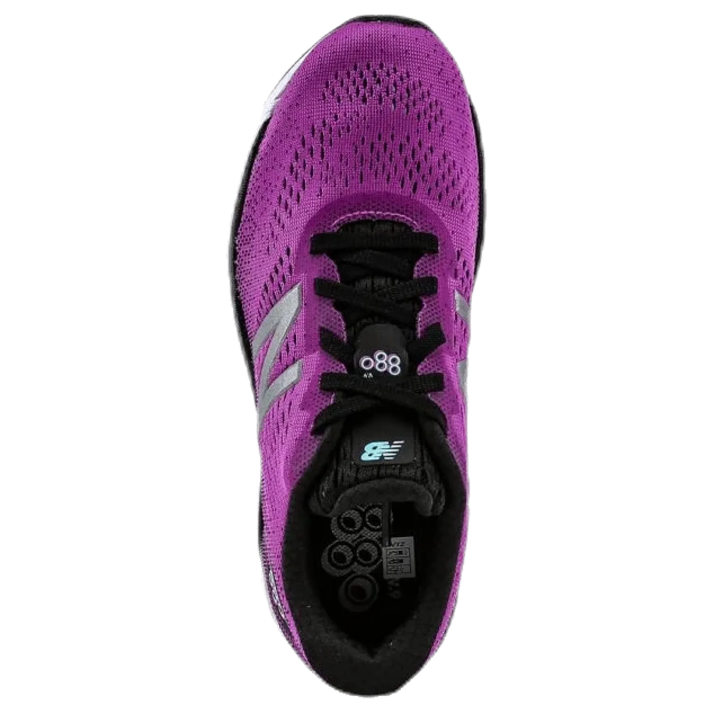 YP880VV Purple