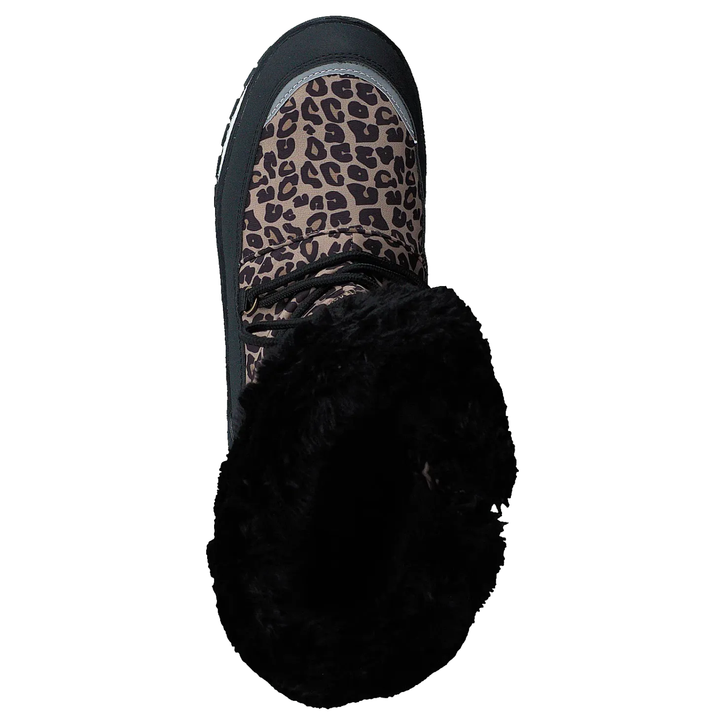 Ysby Leopard