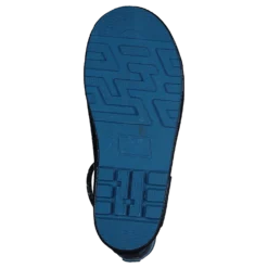 Zebra Gold Blue
