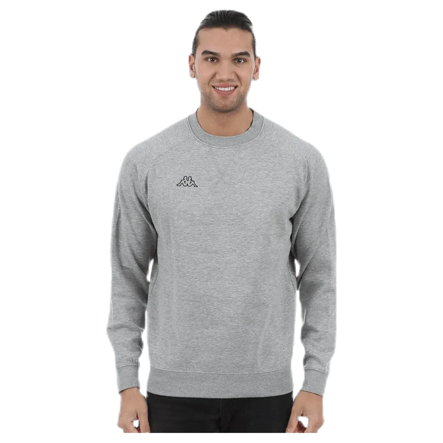 Zyllins Grey