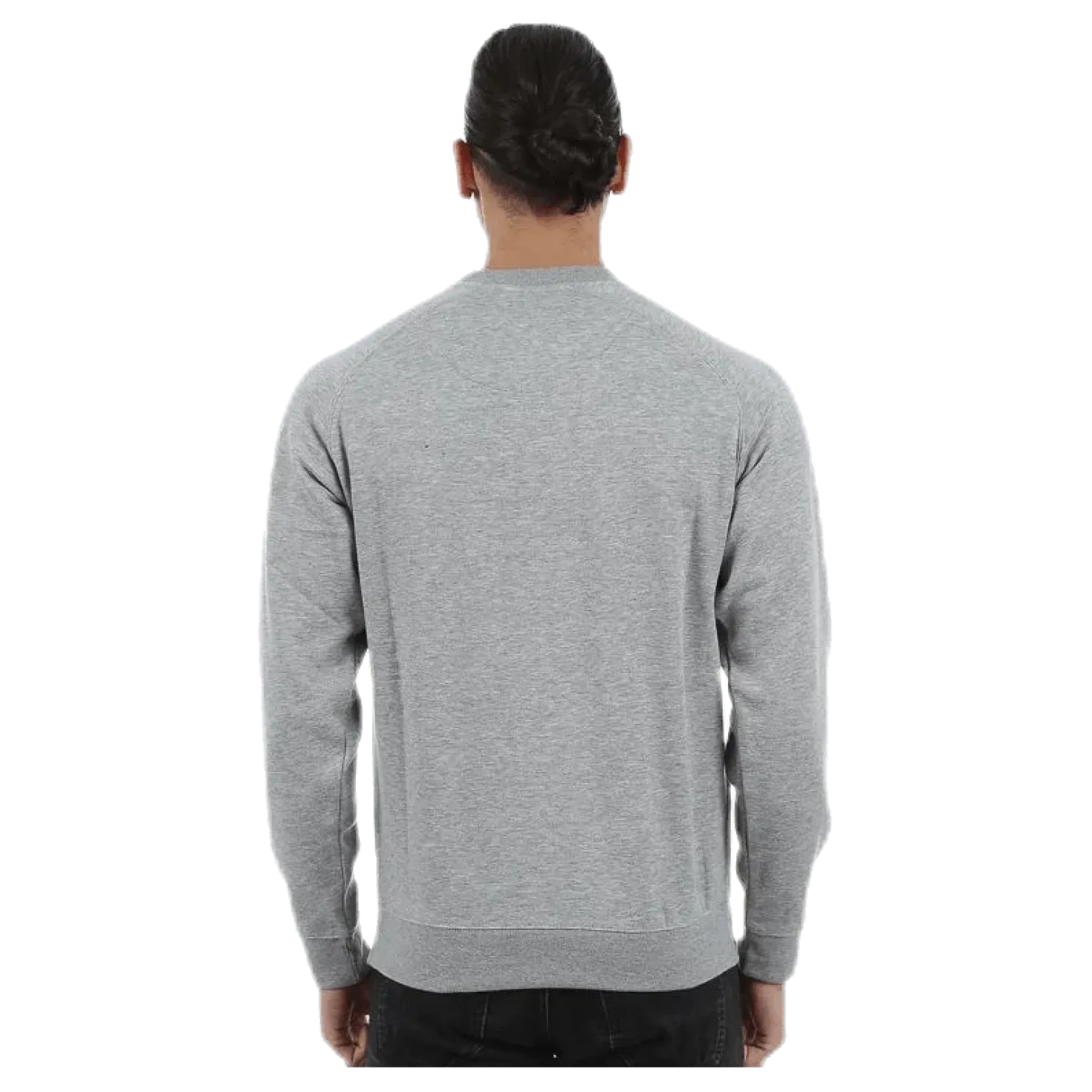 Zyllins Grey