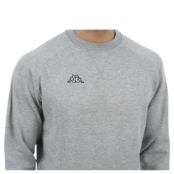 Zyllins Grey